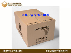 In thùng carton HCM