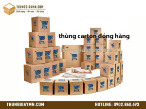 Thùng Carton Đóng Hàng
