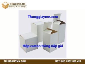 Hộp carton trắng nắp gài