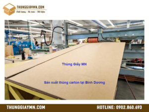 Sản xuất thùng carton tại Bình Dương