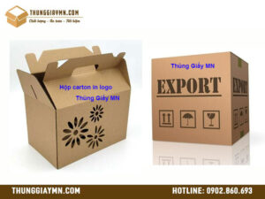 Hộp carton in logo