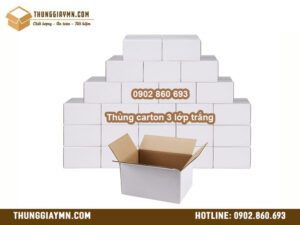 Thùng carton 3 lớp trắng