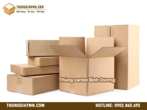 Thùng carton Bình Dương