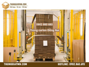 Thùng carton Đồng Nai