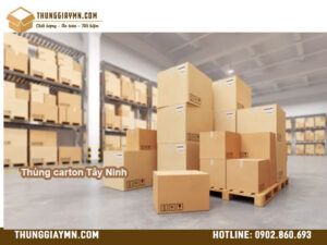 Thùng carton Tây Ninh