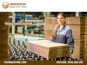 Thùng carton Tp.HCM