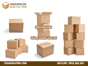thùng carton Gia Lai