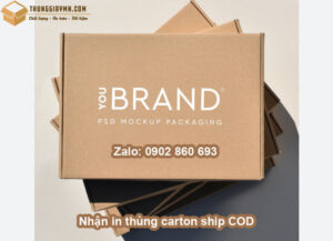 Nhận in thùng carton ship COD